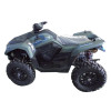 Квадроцикл ACCESS FF800UL зелений