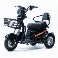 Трицикл аккумуляторный Forte S1-P600 Черный