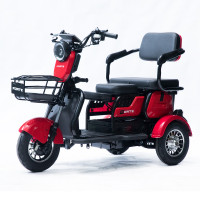 Трицикл аккумуляторный Forte Family-P600 Красный