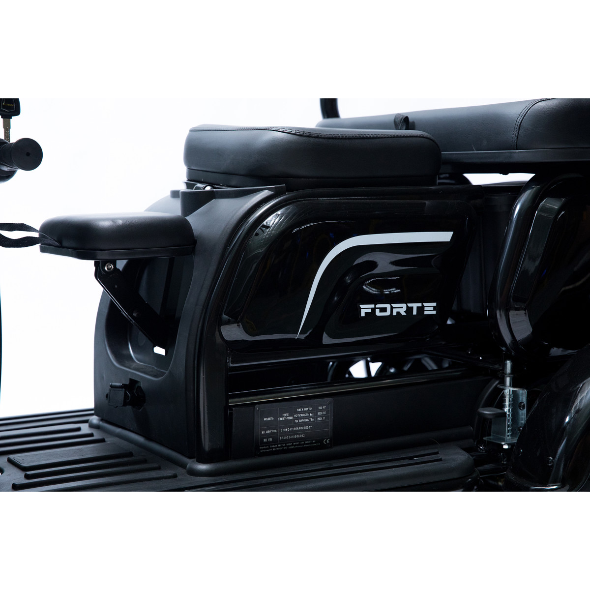 Трицикл акумуляторний Forte Family-P1000 Чорний