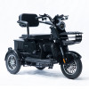 Трицикл акумуляторний Forte Family-P1000 Чорний