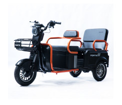 Трицикл аккумуляторный Forte CARGO-P800 Черный