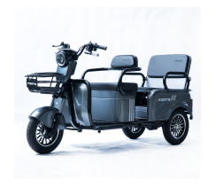 Трицикл аккумуляторный Forte CARGO-P800 Серый