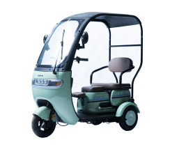 Скутер аккумуляторный Forte TRINE-P800 Зеленый