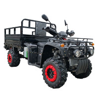 Квадроцикл FORTE ATV-300BS-T Черный