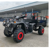 Квадроцикл FORTE ATV-250BS-T Черный