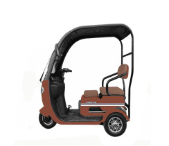 Скутер аккумуляторный FORTE TRINE-WS800 коричневый