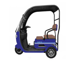 Скутер аккумуляторный FORTE TRINE-WS800 синий