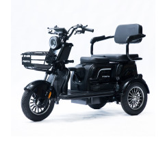 Трицикл аккумуляторный Forte FAMILY-WD1000 черный