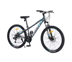Велосипед Forte Fighter 25.2613-04S к26" р13" сірий