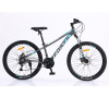 Велосипед Forte Fighter 25.2613-04S к26" р13" сірий