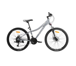 Велосипед FORTE STRIKER 25.2412-01A к24" р12" сірий