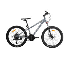 Велосипед FORTE STRIKER 25.2412-06S к24" р12" сірий