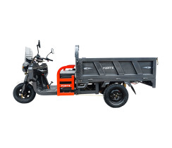 Вантажний електричний трицикл FORTE GP-1200-C Сірий
