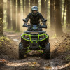Квадроцикл FORTE AFC250 PRO Черно-зеленый