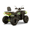 Квадроцикл FORTE AFC250 PRO Черно-зеленый