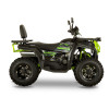 Квадроцикл FORTE AFC250 PRO Черно-зеленый