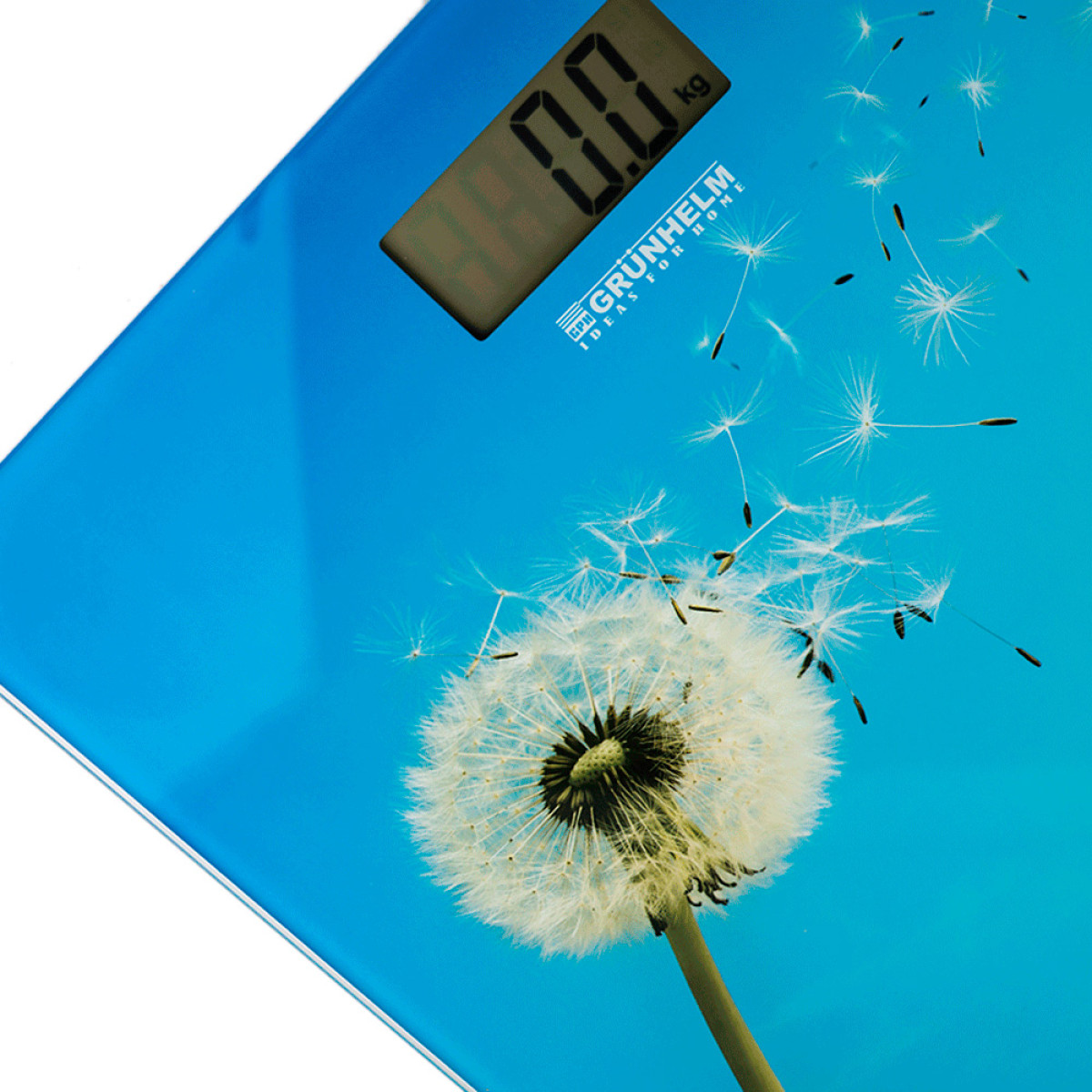 Grunhelm BES-BLB Ваги підлогові