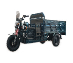 Грузовой электрический трицикл FORTE GP-1500-CН Синий