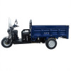 Грузовой электрический трицикл FORTE GP-1500-CН Синий