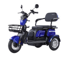 Трицикл аккумуляторный Forte FAMILY-WN800 синий