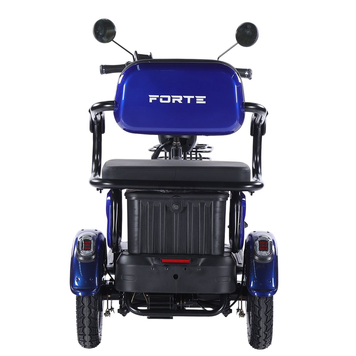 Трицикл акумуляторний Forte FAMILY-WN800 синій