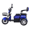 Трицикл акумуляторний Forte FAMILY-WN800 синій