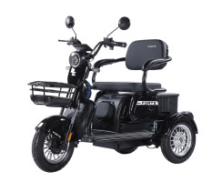 Трицикл аккумуляторный Forte FAMILY-WN800 черный