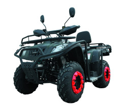Квадроцикл FORTE ATV-200BS Черный