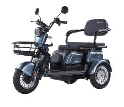 Трицикл аккумуляторный Forte FAMILY-WN800 серый