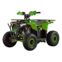 Квадроцикл FORTE AFU110 Черно-зеленый