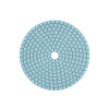 Круг алмазный полировальный - 100 мм №220 4412724 Haisser