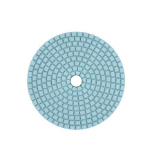 Круг алмазный полировальный - 100 мм №220 4412724 Haisser