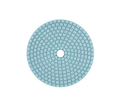 Круг алмазный полировальный - 100 мм №220 4412724 Haisser