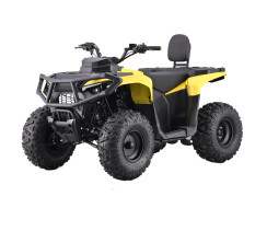 Квадроцикл MIKILON HAMMER 110 PRO 