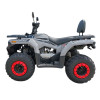 Квадроцикл Forte ATV-200BS PRO Сірий