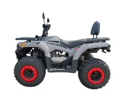 Квадроцикл Forte ATV-200BS PRO Серый