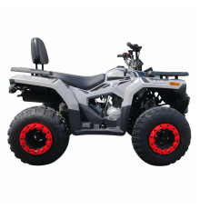 Квадроцикл Forte ATV-200BS PRO Серый