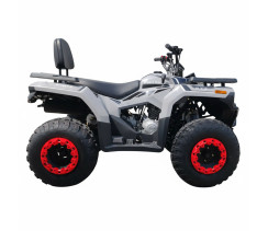 Квадроцикл Forte ATV-200BS PRO Серый