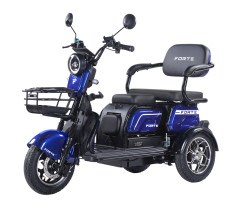 Трицикл аккумуляторный Forte Family-WN1072 Синий
