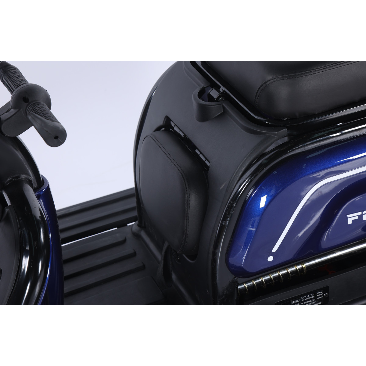Трицикл акумуляторний Forte Family-WN1072G Синій