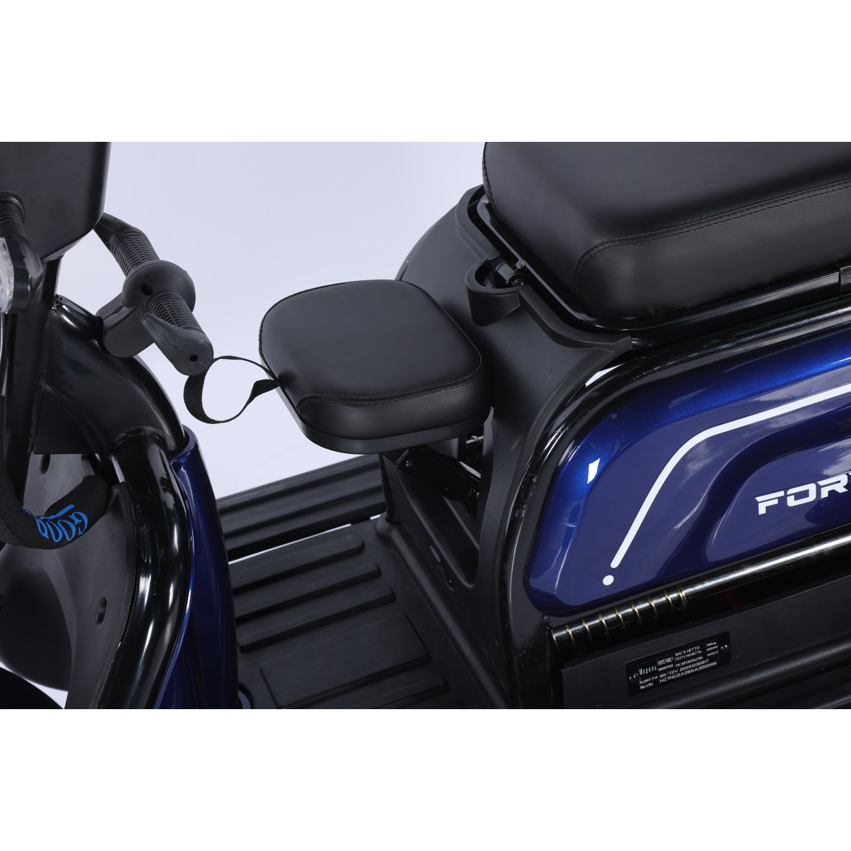 Трицикл акумуляторний Forte Family-WN1072G Синій