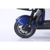 Трицикл акумуляторний Forte Family-WN1072G Синій