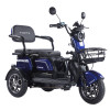 Трицикл акумуляторний Forte Family-WN1072G Синій