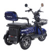 Трицикл акумуляторний Forte Family-WN1072G Синій