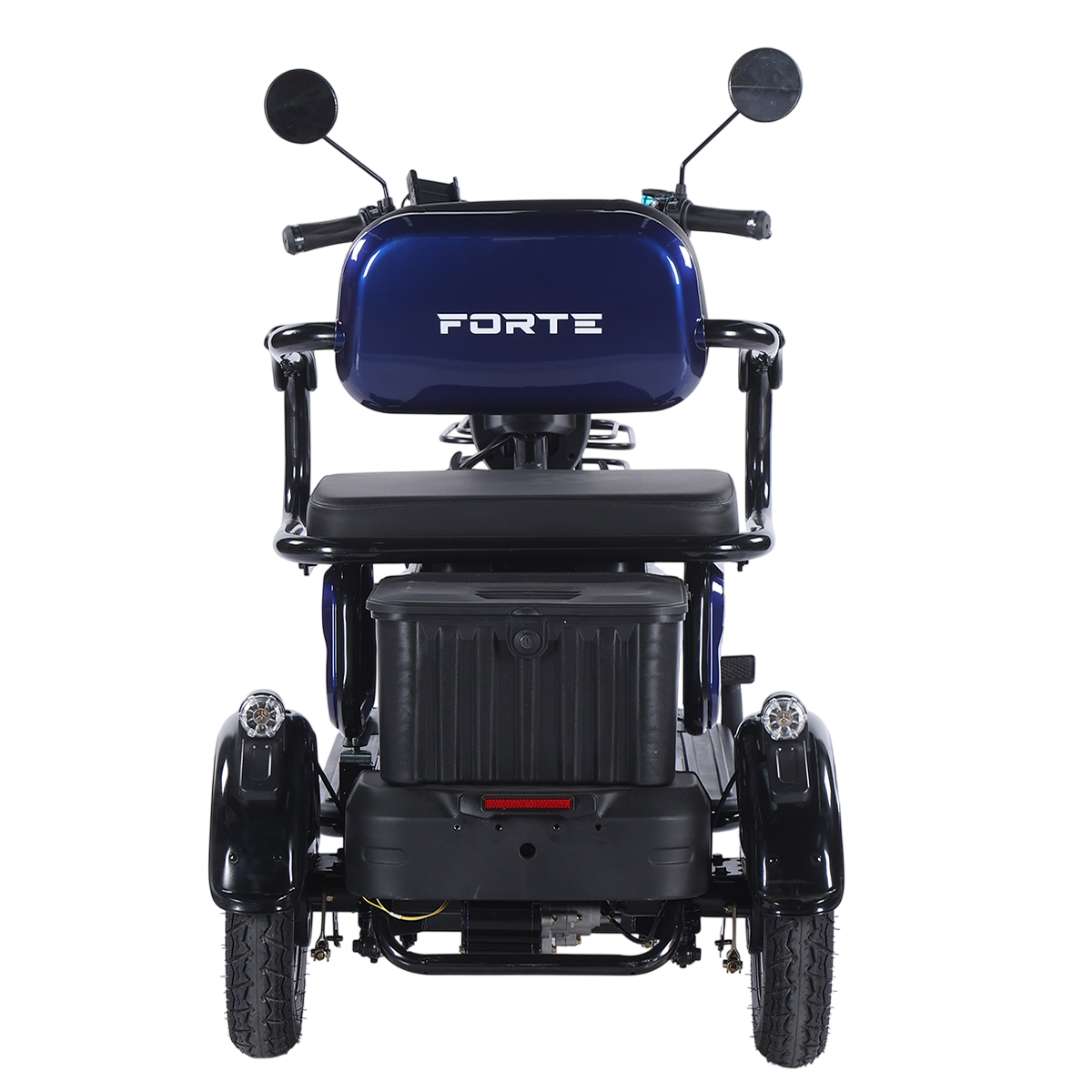 Трицикл акумуляторний Forte Family-WN1072G Синій