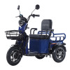 Трицикл акумуляторний Forte CARGO-WN1072 Синій