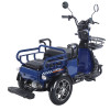 Трицикл акумуляторний Forte CARGO-WN1072 Синій