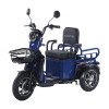 Трицикл акумуляторний Forte CARGO-WN1072 Синій