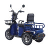 Трицикл акумуляторний Forte CARGO-WN1072 Синій